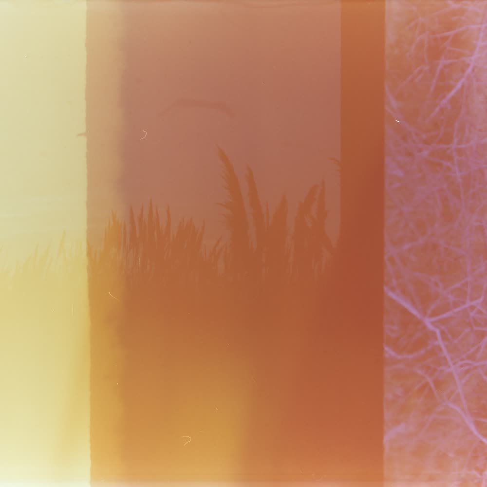 A film frame washed out in orange light leaks