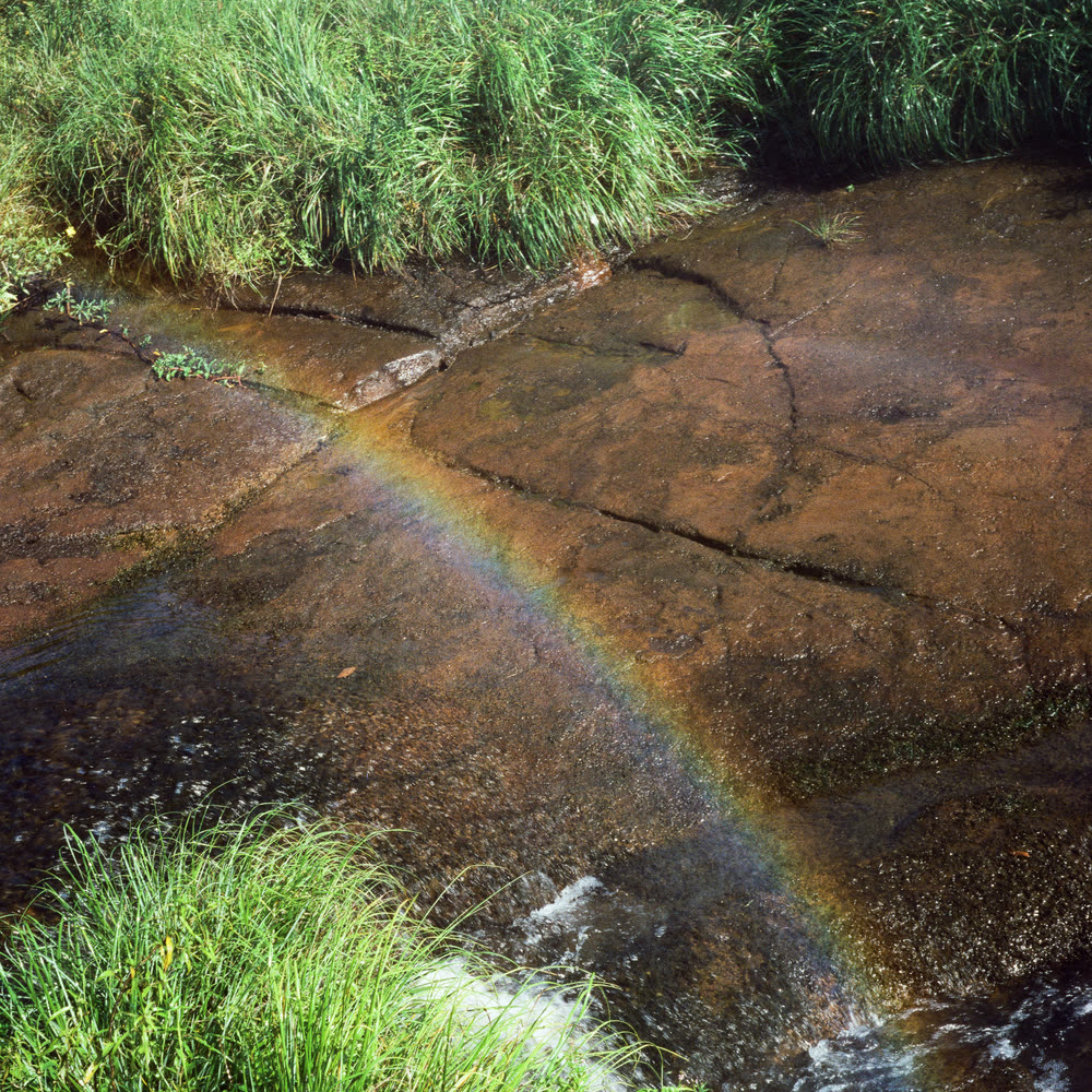 A small rainbow over wet rock and grass